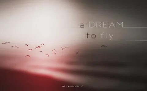Is to fly