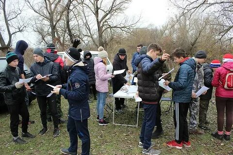 Лесные новости спортивного