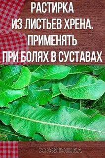 Хрен прикладывать