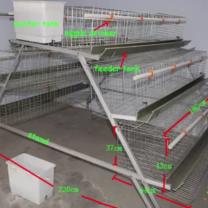 Размер клетки для кур несушек. Клетки для кур несушек Кинпласт. Клетки для кур несушек пирамида. Клетка для кур несушек 4 яруса. Клетки для кур несушек с пометоудалением.