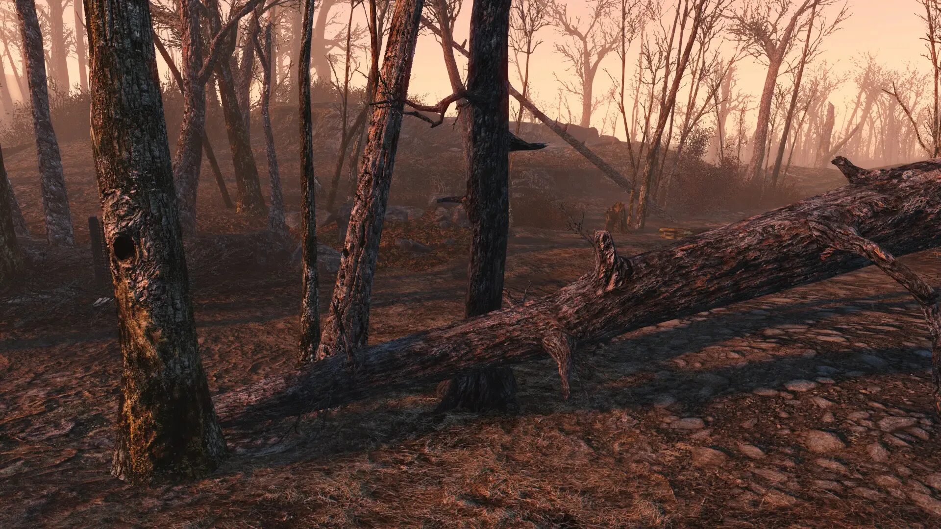 Vivid fallout all in one. Фоллаут 4 лес. fallout 4 autumn overhaul. дерево фоллаут 4. сломанное дерево.