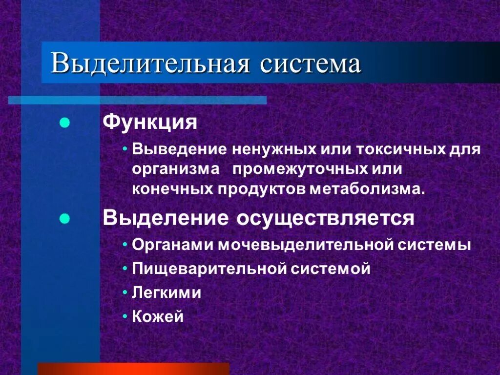 Основной выделительный орган человека. Основные функции выделительной системы. Выделительная функция систем организма. Основные функции выделительной системы человека. Функции выделительной системы человека кратко.