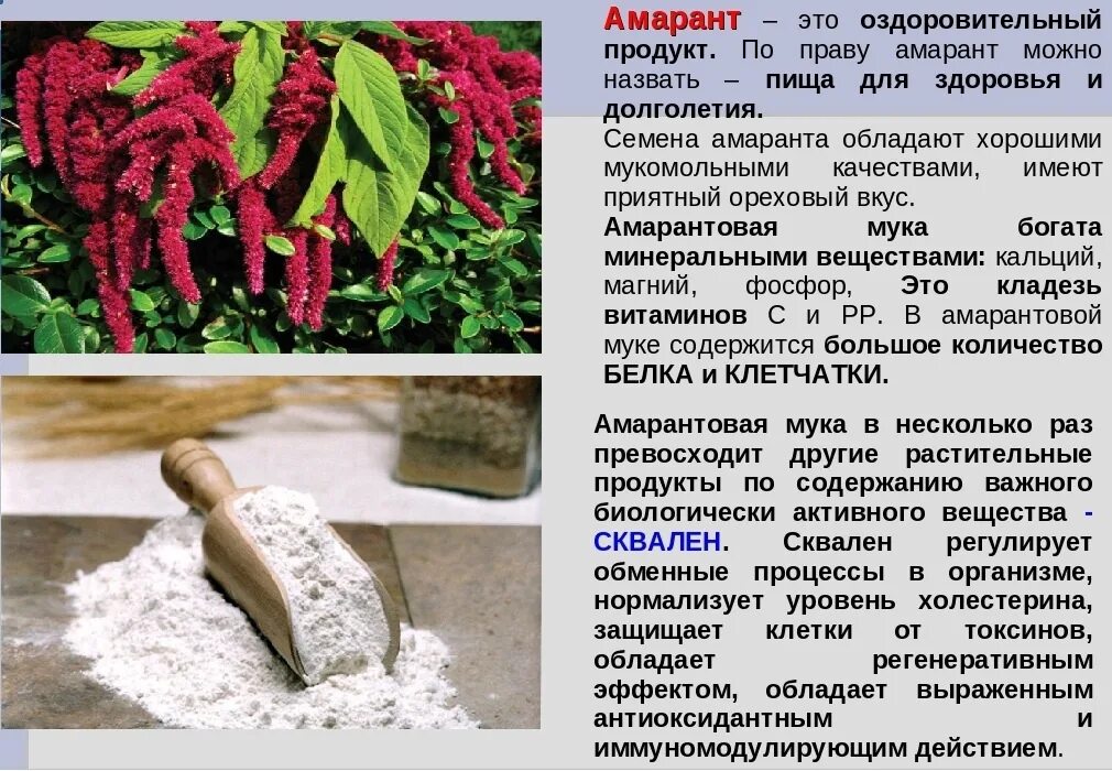 Семена амаранта. Белок амаранта. Амарантовая каша амаранта. Амарант злаковый. Амарант белок.