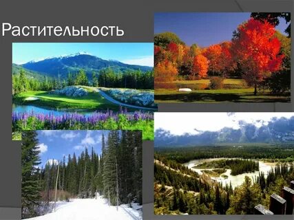 Класс география канада