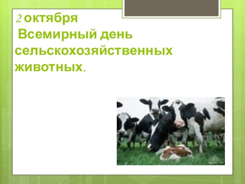 10 апреля день сельскохозяйственных животных. Всемирный день сельскохозяйственных животных. всемирный день сельхоз животных. день сельскохозяйственных животных 2 октября. 2 - всемирный день сельскохозяйственных животных.