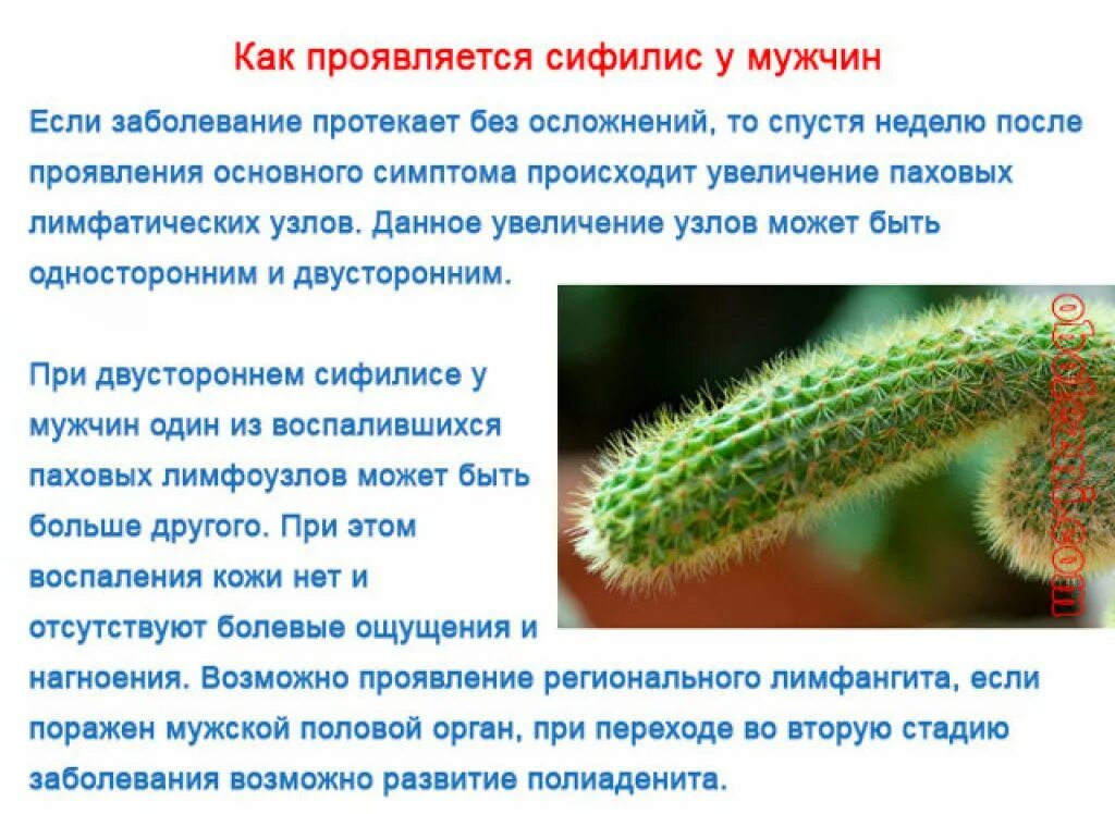 проявить сколько