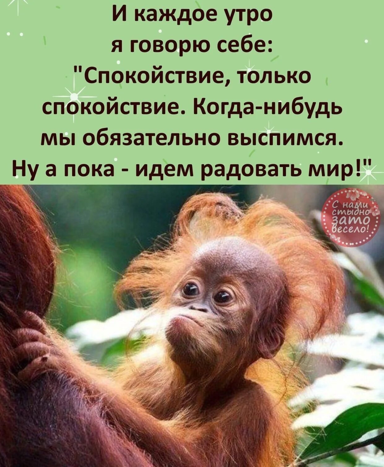 Нужно обязательно что нибудь