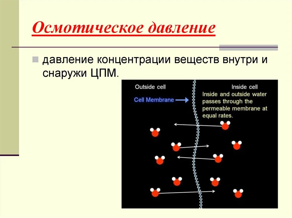 Факторы концентрации веществ. Осмос и осмотическое давление химия. Осмотическоетдавлерие. Осмотиче кое давление.. Осмотическое давление - это давление.