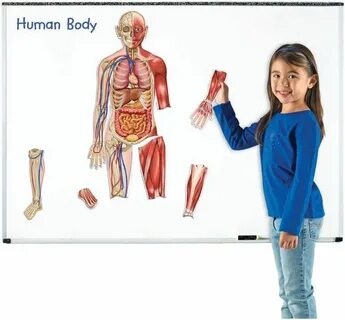 Education body