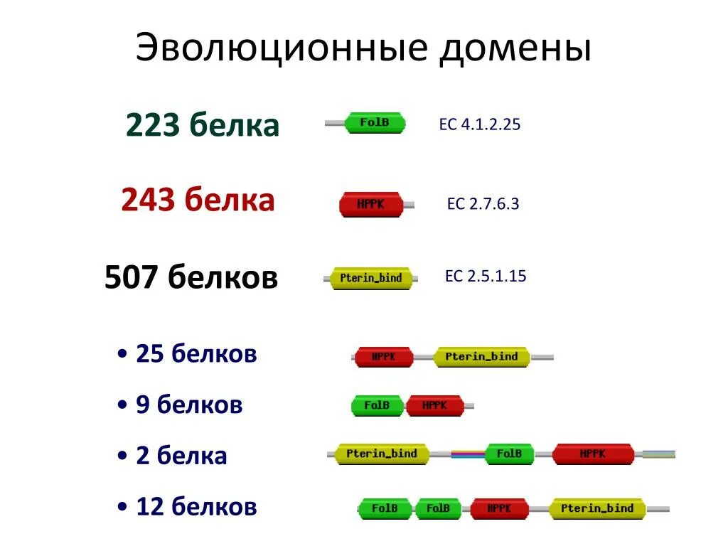 Домен это биохимия. Типы доменов белков. Домен белка. Доменная структура белков. Домен доменные белки