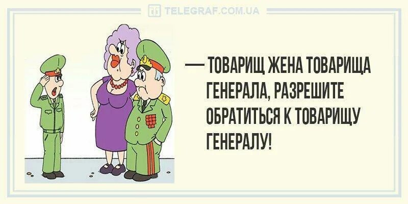Быть женой генерала. Товарищ генерал. жена генерала прикол. генерал прикол. анекдоты про 23 февраля для детей.