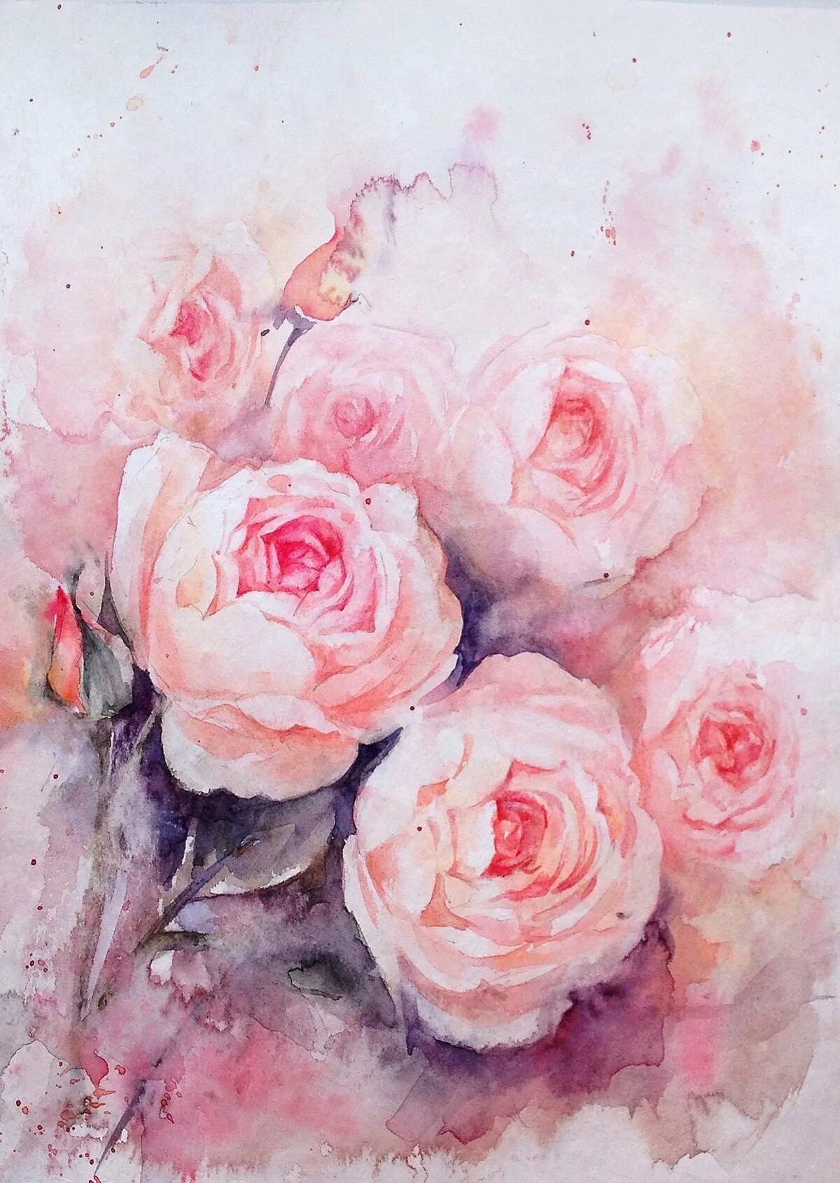 Акварельные розы. Цветы пионы акварель. Красивые Акварельные пионы. Розовые розы акварель.