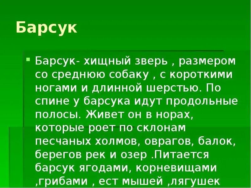 Рассказ барсучий нос 3 класс литературное чтение. Информация о Барсуке для 3 класса. Барсучий нос презентация 3 класс. Доклад про барсука 3 класс. Доклад про барсука 2 класс.