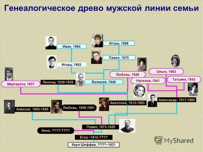 Родословная семьи. Генеалогическое Древо по мужской линии. Родственные связи Древо. Кем является мужчина в семье