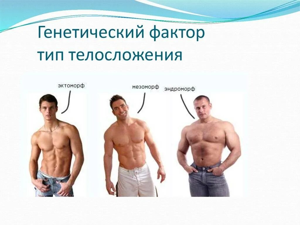 3 форма тела. Типы телосложения. типы строения тела. типы мужских фигур. эктоморфный тип телосложения у мужчин.