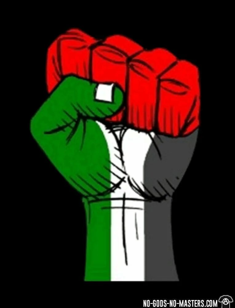 Саймон кирк. Джеймс тиберий кирк уильям шетнер. Игрушка star trek captain kirk. Кирка. Кирк мастер.