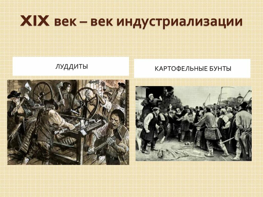 Картофельный бунт при николае. Петр 1 и картофельные бунты. Картофельный бунт при николае. Картофельный бунт при николае. Картофельные бунты причины.