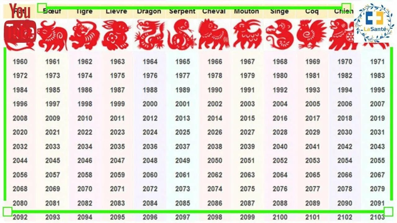 2025 2026 2027 2028 2029. Следующий год по китайскому гороскопу. Следующие года животных. Следующий год какого животного 2022. Какой будет следующий год.