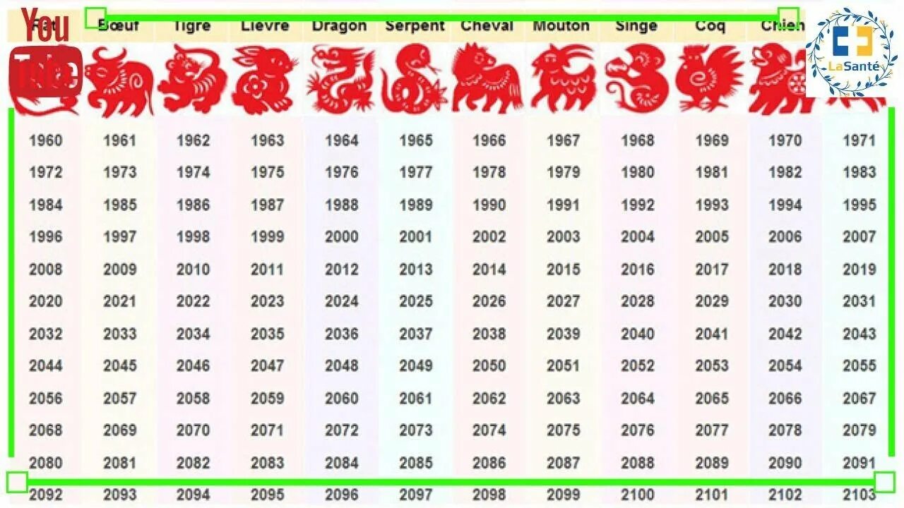 Какой сегодня год. Следующий год по китайскому гороскопу. Следующие года животных. Следующий год какого животного 2022. Какой будет следующий год.
