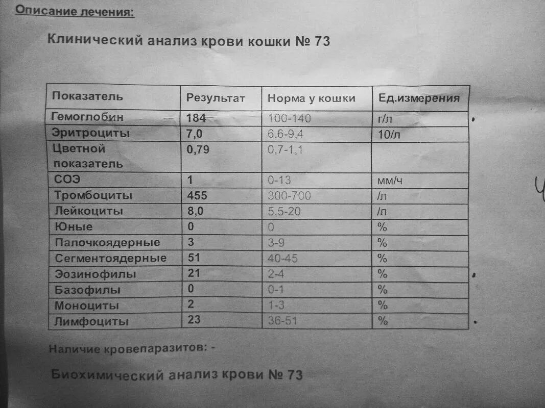 Биохимия кошачьего анализа крови норма. Общий анализ крови у кота норма. Общий анализ крови кота показатели норма. Биохимический анализ, клинический клинический анализ крови.