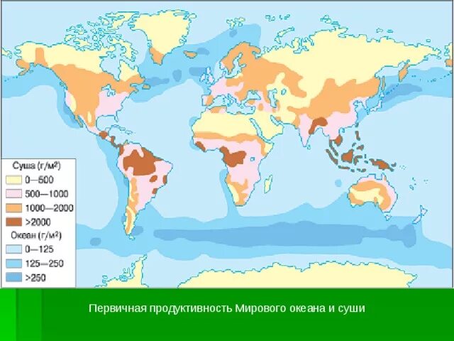 Продуктивность мирового океана. Биологическая продуктивность суши и океана. Продуктивность океана. Биопродуктивность мирового океана. Биологическая продуктивность мирового океана.
