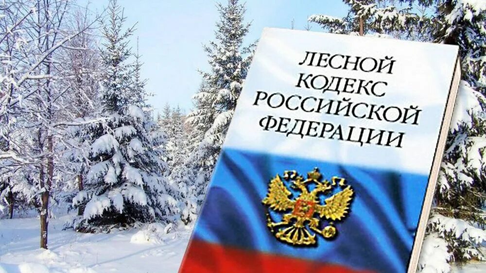 Лесное законодательство рф. Лесной кодекс Российской Федерации. Лесной кодекс книга. Лесной кодекс РФ книга.