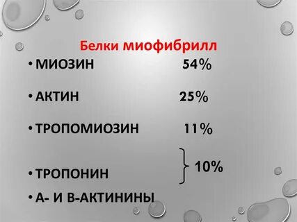 Основные белки миофибрилл