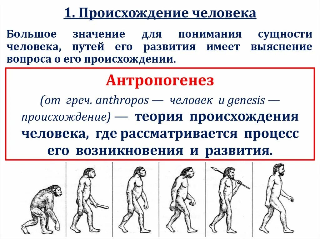 Происхождение человека. Происхождение и Эволюция человека. Историческое развитие человека. Возникновение человека.