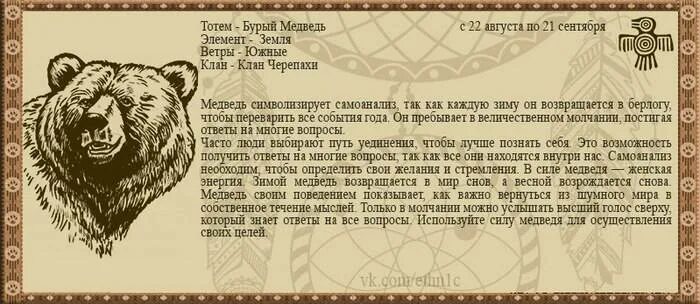 гороскоп на 2022 год. тигр гороскоп. гороскоп на 2021 год стрелец женщина. гороскоп года. гороскоп на 2022 год.