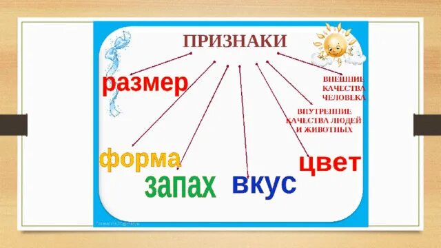 Слово признак кот. Признаки предметов 1 класс. Какие слова отвечают на вопрос какой. Слова отвечающие на вопросы какой какая какие. Слова отвечающие на вопросы какой какая какое какие 1 класс.