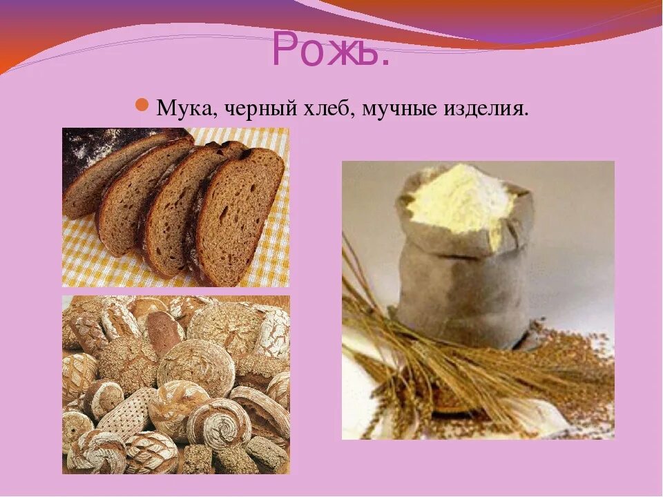 Белый хлеб получают из. Продукты из ржи. Что делают из ржи. Что изготавливают из ржи. Какие продукты получают из ржи.