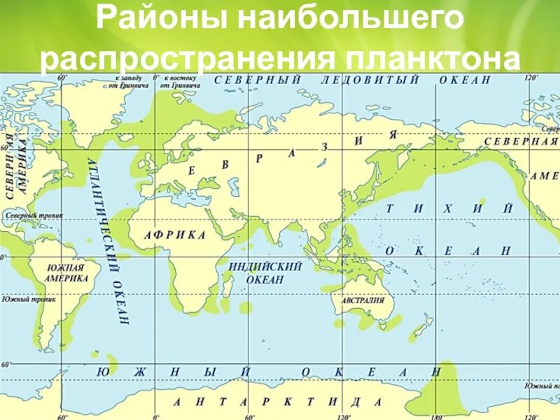 Карта распространения планктона. Районы мирового океана. Распространение жизни в океане. Карта жизнь в океане. Распространение животных в мировом океане