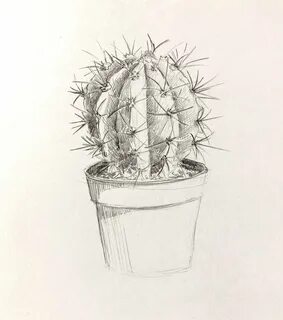 Как рисовать кактус карандашом.