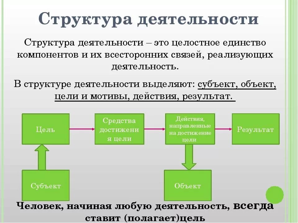 Структурные этапы деятельности