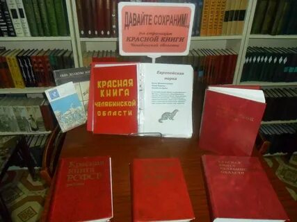 Книга про челябинскую область