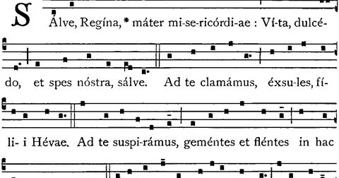 Salve перевод на русский