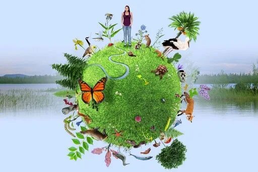Биологическое разнообразие. День экологического разнообразия. Уменьшение биоразнообразия. Исчезновение биоразнообразия. Биоразнообразие в экосистеме