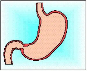 Қанды эльфтің жыныстық қатынасы