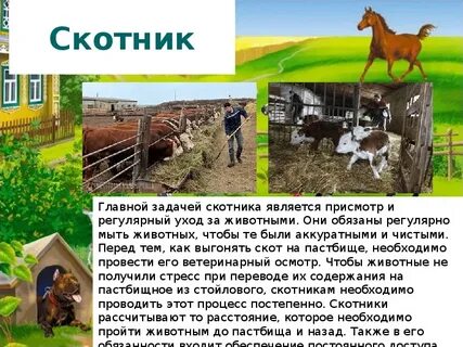 Профессии связанные с разведением животных