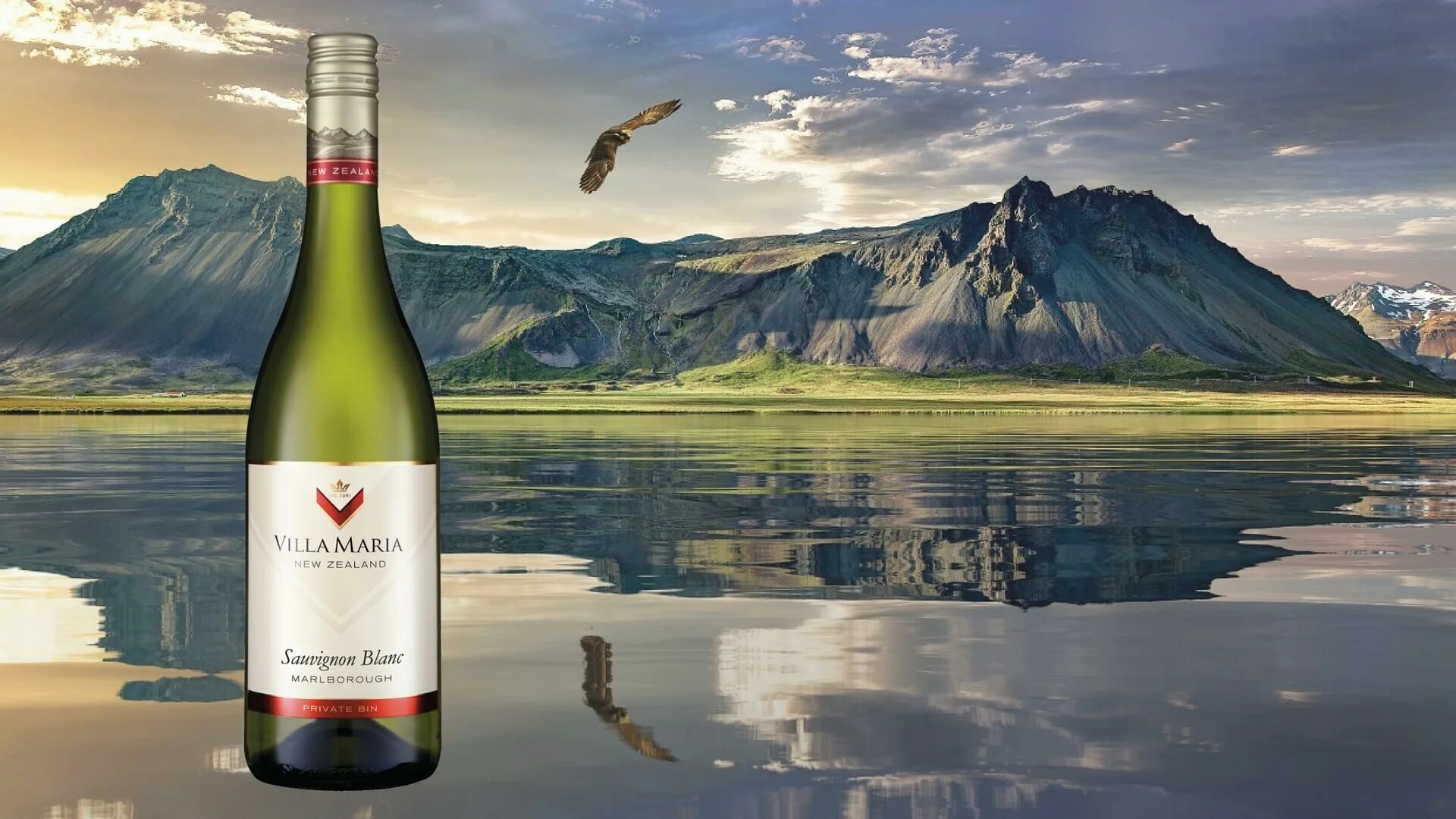 Sauvignon new zealand. Виноградники Мальборо новая Зеландия. Совиньон Блан новая Зеландия Мальборо. Вино новая Зеландия Мальборо. Вино новая Зеландия Совиньон Блан Мальборо.