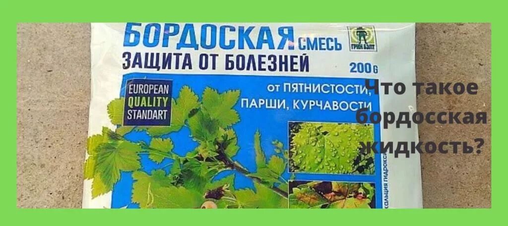 После обработки бордосской жидкостью. Бордосская смесь защита от болезней. Бордосская жидкость для теплицы. Бордосская смесь таблица. Приготовление бордосской жидкости.