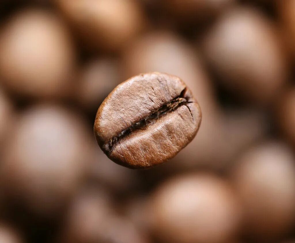 Кофейное зернышко. Кофейное зернышко. Кофейные зерна. Рассыпанные кофейные зерна. Кофе в зернах.