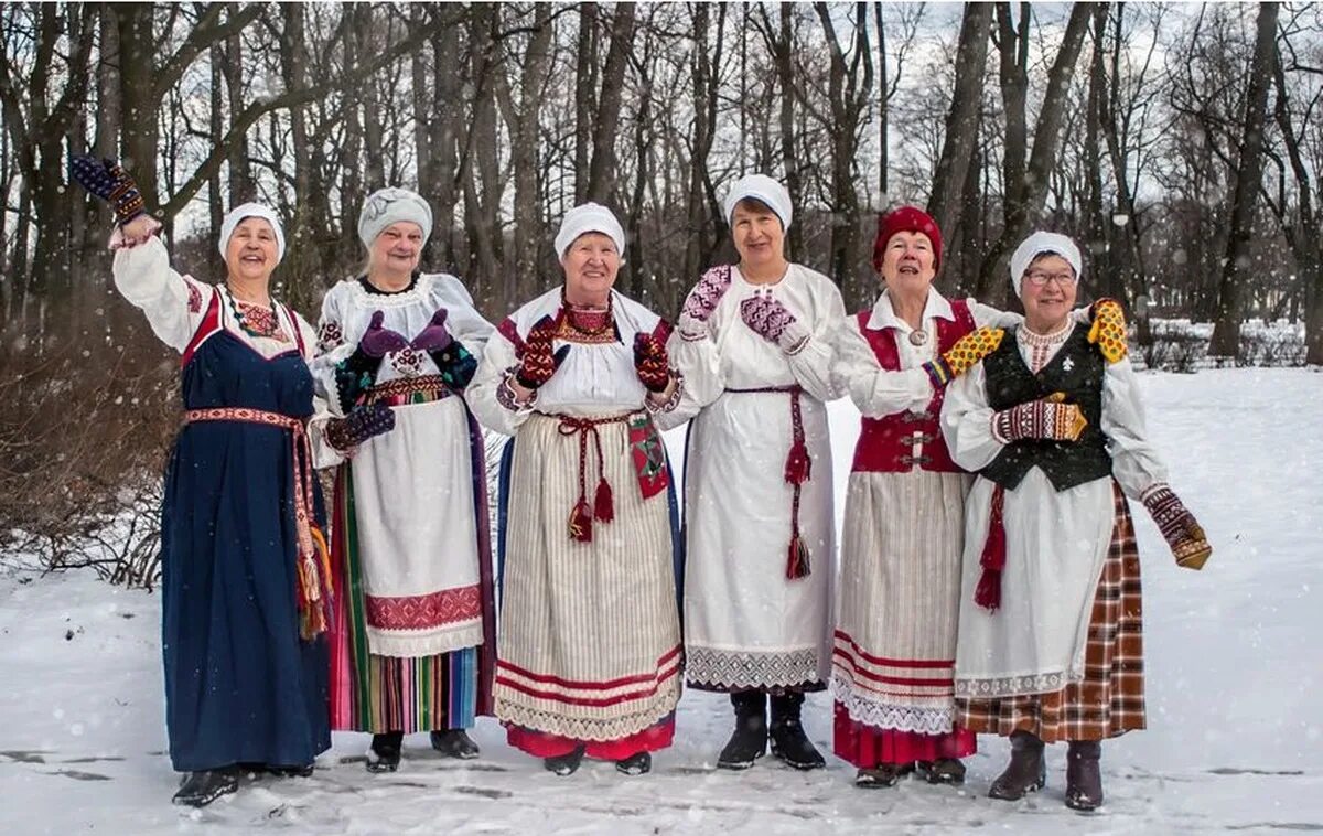 Вепсы Ижоры водь. Народы Ленинградской области водь Ижора. Коренные народы Ленинградской области вепсы. Карелы, Ижоры, вепсы. Народы проживающие в ленинградской области