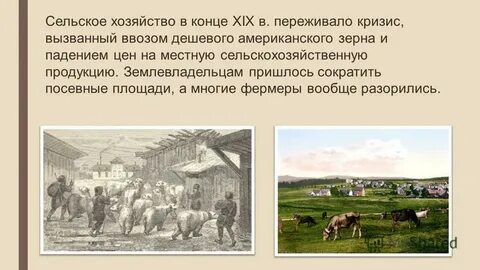 Развитие сельского хозяйства в великобритании