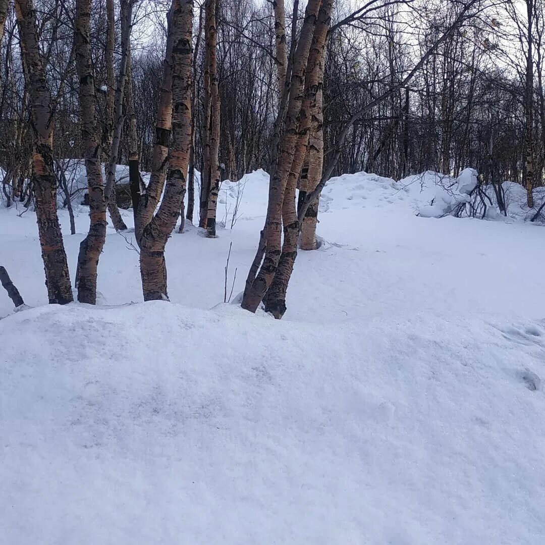 Ириска дзен. Фотографии села весной в Мурманске.
