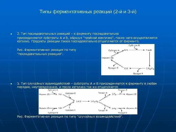 Катализ ферментов. Последовательные реакции биохимия. Типы ферментативных реакций. Типы ферментативного катализа. Типы реакций ферментов.