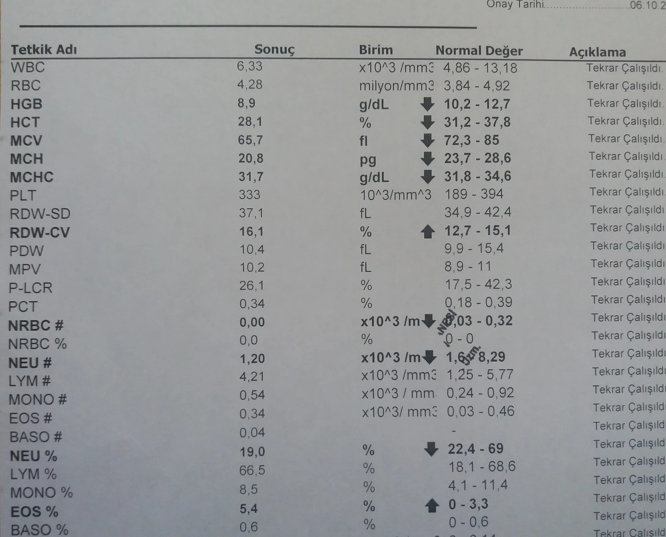 Lym крови мужчины. Normal MCV MCH MCHC RDW. Hemogram. Cat hemogram. Tahlil.