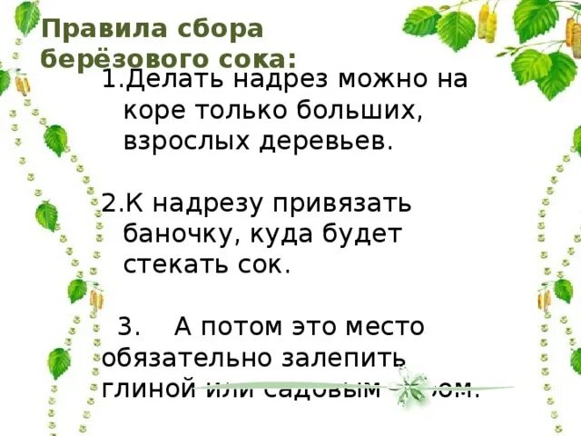 Сообщение польза березового сока правила сбора. Правила сбора березового сока. Правило сбора березового сока. Памятка правила сбора берёзового сока. Разрез для сбора березового сока.