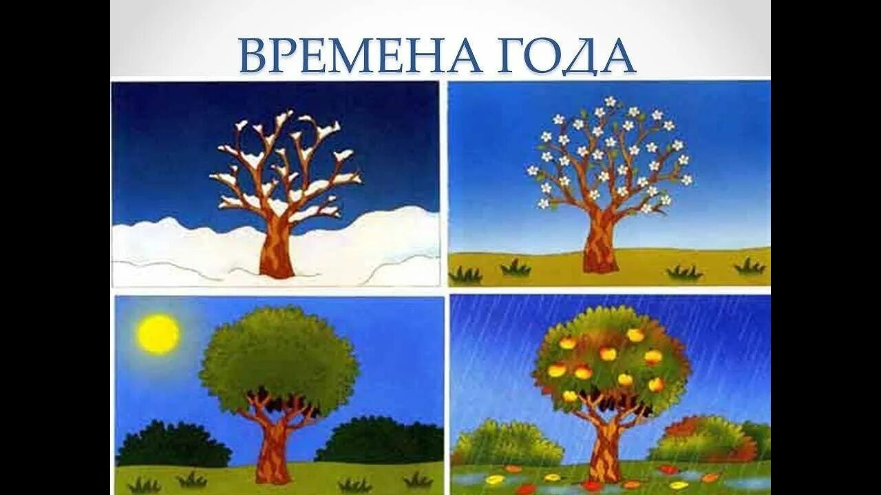 Назови одним словом для дошкольников. Назови мне времена года. Признаки времен года. Дифференциация времен года. Времена года для детей.