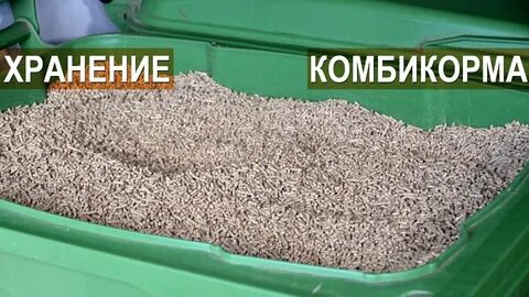 Нужно ли запаривать комбикорм